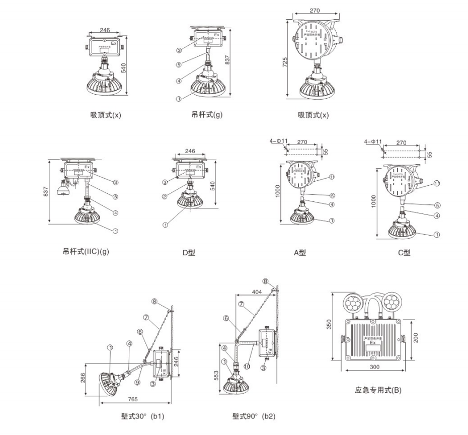 BYY51系列防爆應(yīng)急燈外形安裝尺寸