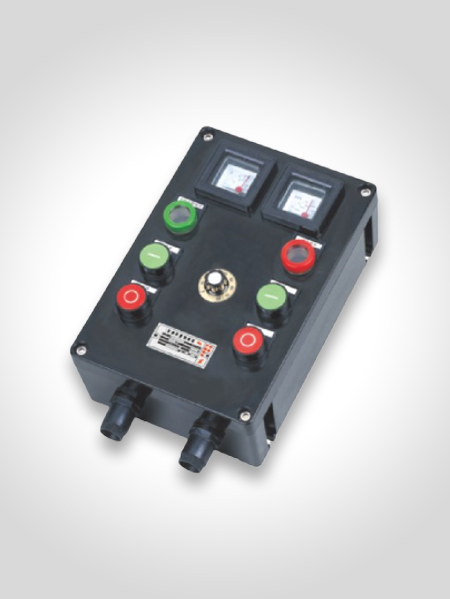 BXK8080系列防爆防腐控制箱(ⅡC)