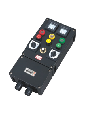 BXK8080系列防爆防腐控制箱(ⅡC)