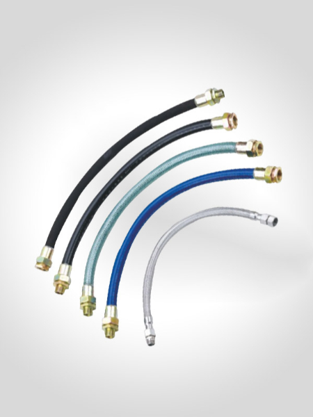 BNG系列防爆撓性連接管