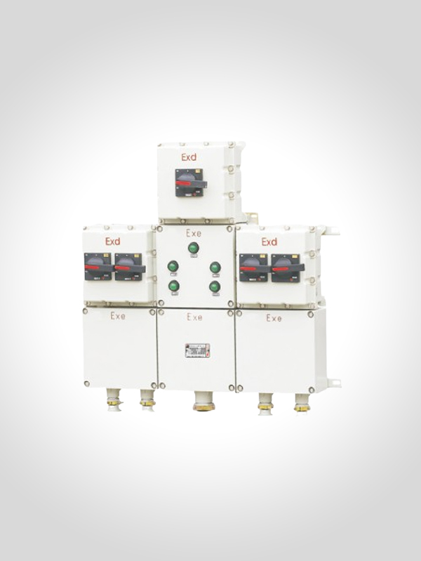 防爆動(dòng)力檢修箱(ⅡB、ⅡC)BXX系列