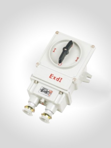 BHZ系列防爆轉(zhuǎn)換開關(guān)